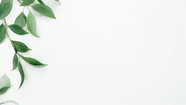 Creating minimalist calm with slender leafy branch on white background and copy space