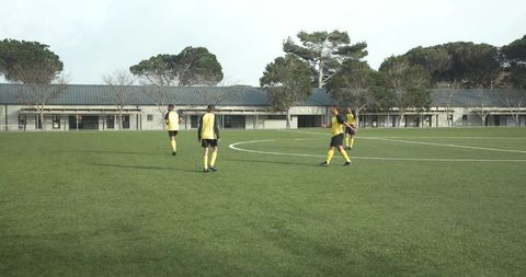 Young Soccer Team Practicing on Sunny Outdoor Field