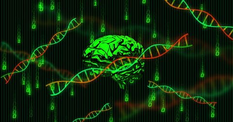Binary Code Brain with DNA Strands on Digital Background Concept - Download Free Stock Images Pikwizard.com