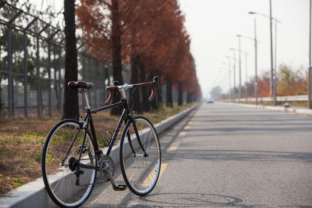 Vintage bicycle parked on deserted road with trees. Ideal for concepts of travel, transportation, leisure, and outdoor activities. Suggests simplicity, scenic cycling routes and autumn vibes.
