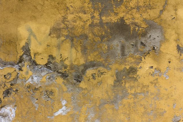A close-up view of a yellow wall with peeling paint and a textured surface, ideal for use in background design or concept art. Perfect for illustrating aging or decay in visual projects, and for adding a rustic, distressed element to graphic designs, marketing materials, or creative works focused on texture and the passage of time.