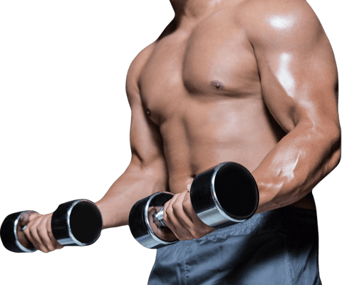 Muscular Torso of Bodybuilder Training with Dumbbells Transparent Background