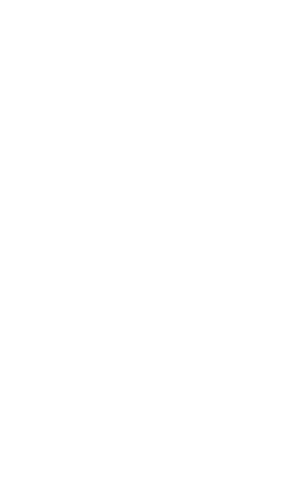 Silhouette of fencing athlete on transparent background