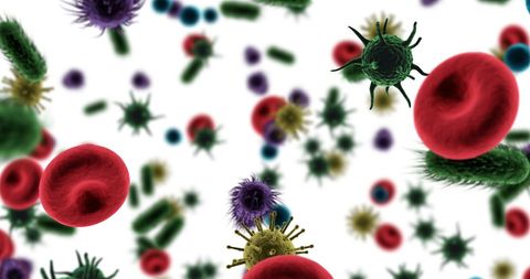 3d illustration of viruses, bacteria, and red blood cells