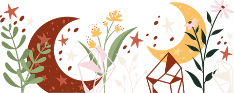 Colorful Celestial Moons Stars and Plants Fantasy on Transparent Background - Download Free Stock Videos Pikwizard.com