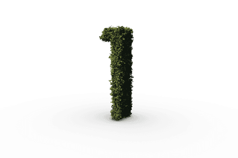 one made of grass on transparent background - Download Free Stock Videos Pikwizard.com