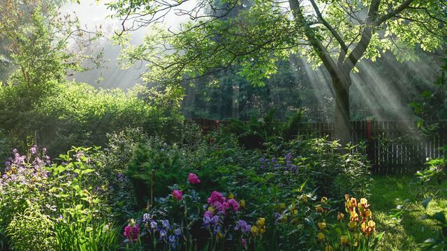Sunlight shining through garden with flowers, bushes and trees. Nature and spring season concept