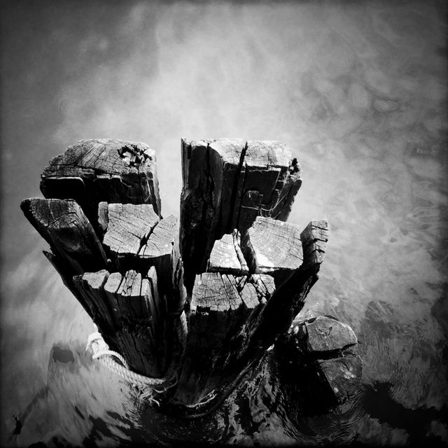 Image of an old weathered wooden post emerging from water, captured in black and white. Useful for projects emphasizing history, decay, or timeless beauty. Ideal for backgrounds, art pieces, or conceptual designs exploring themes of age and erosion.