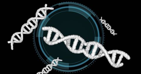 DNA Strands with Advanced Digital Interface Digital Analysis - Download Free Stock Images Pikwizard.com