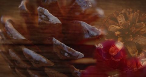Festive Christmas Pine Cones with Red Berries - Download Free Stock Images Pikwizard.com
