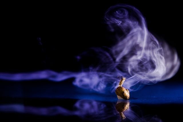 This image features a single peanut shell emitting smoke and reflecting on a dark surface with a dark background. It creates a mysterious and eerie ambiance, ideal for concepts related to food, smoking, or abstract artistic expression. Suitable for use in food blogs, artistic projects, and marketing materials focusing on creativity and unpredictability.