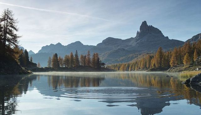 Rippling alpine lake reflecting autumn larch trees and jagged mountain peak at dawn