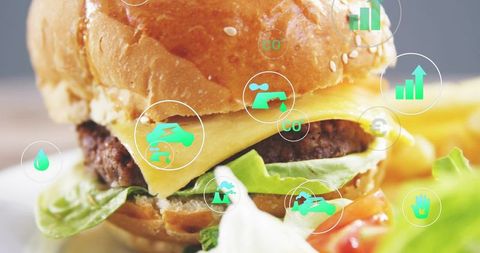 Juicy cheeseburger with melted cheese, fresh lettuce and tomato with green infographic icons