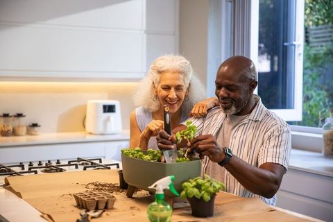 Senior couple enjoying indoor gardening on kitchen counter