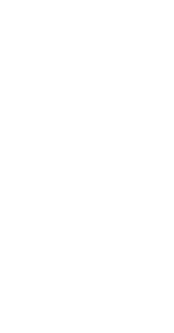 Female martial artist silhouette on transparent backdrop