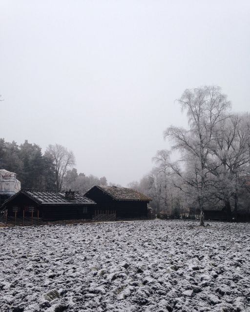 Snow-covered Field with Forest and Wooden Cabins in Overcast Weather - Download Free Stock Images Pikwizard.com