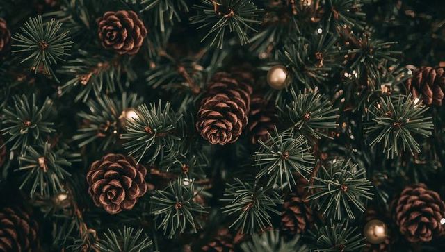 Rustic pinecone and evergreen closeup with warm gold baubles on christmas wreath