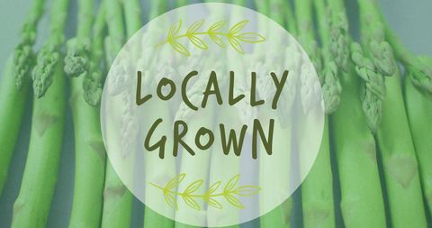 Locally Grown Fresh Asparagus with Green Design Elements