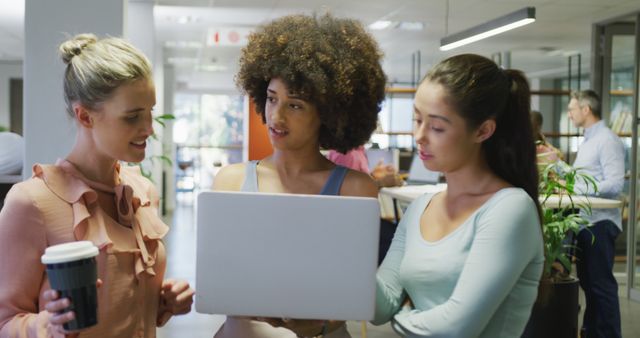 Diverse Businesswomen Discussing Project in Office - Download Free Stock Images Pikwizard.com