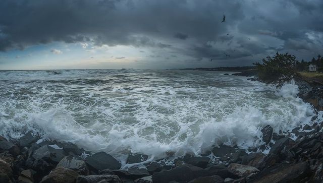 Tempestuous coastal headland with crashing waves, windswept trees and stormy sky
