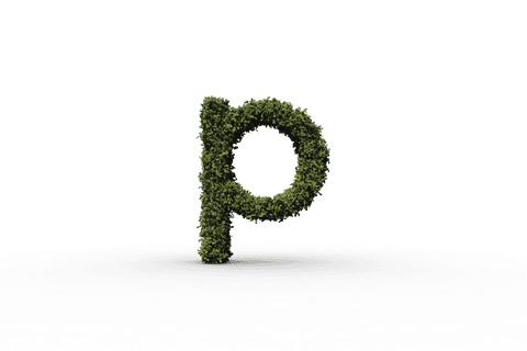 transparent letter p formed by lush green grass - Download Free Stock Videos Pikwizard.com