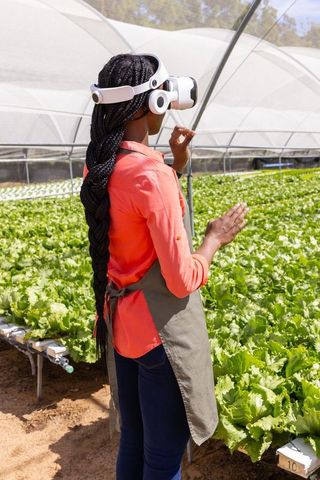 Woman using vr headset for hydroponic lettuce inspection in greenhouse