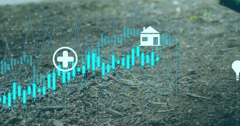 Digital Growth Analysis with Healthcare and Home Investment