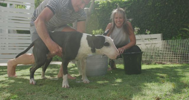 Couple giving their dog a bath in the backyard during a bright, sunny day. Man holding the dog while woman smiles, both seem to enjoy this family activity. Ideal for use in pet care promotions, family-oriented advertisements, and summer lifestyle blogs.