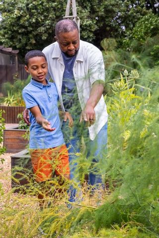African american father guiding son in backyard garden pointing at plants teaching gardening