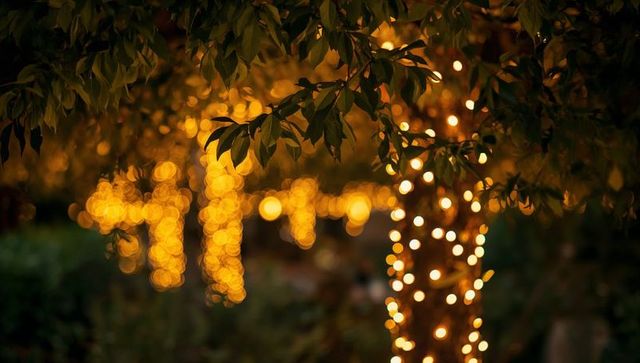 Golden bokeh lights wrapping tree trunk with leafy branches creating warm evening glow