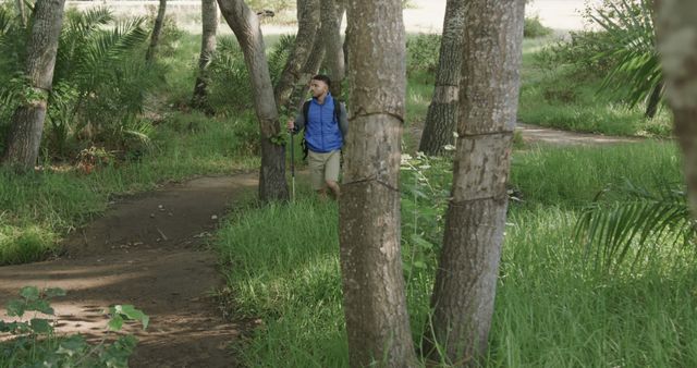 Man hiking through forest trail on sunny day, perfect for nature travel, outdoor activities, adventure stock, promoting eco-tourism. Suitable for illustrating, blog posts, advertisements about hiking, solo travel, and exploring green spaces.