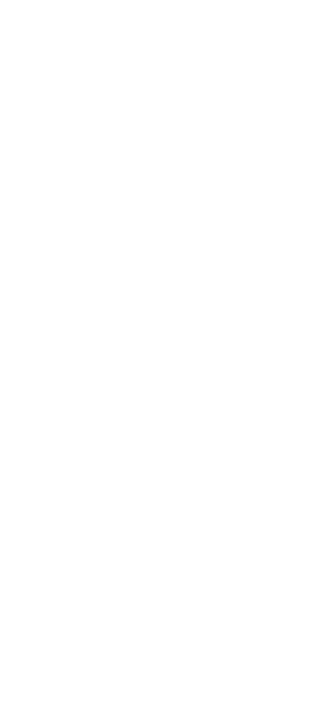 Victorious Woman Silhouette with Raised Hands on Transparent Background - Download Free Stock Videos Pikwizard.com