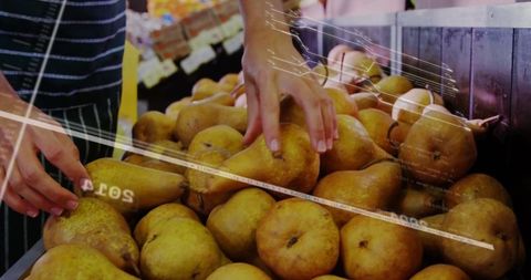 Shopping for fresh pears at grocery store