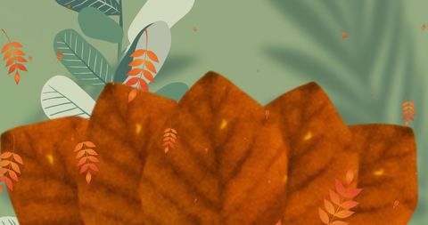 Autumn Leaves Pattern on Green Background