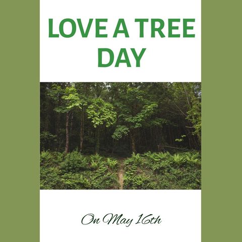 Love a Tree Day Celebration with Lush Green Forest - Download Free Stock Templates Pikwizard.com