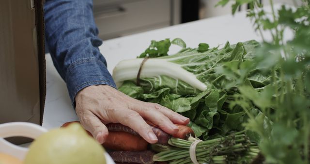 Person Selecting Fresh Organic Vegetables from Box - Download Free Stock Images Pikwizard.com