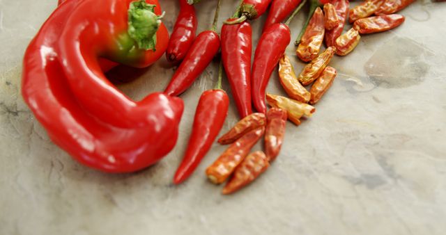 Fresh red bell pepper and dried chili peppers are arranged on a textured surface, with copy space. Their vibrant colors suggest a theme of spicy and flavorful ingredients for culinary use.