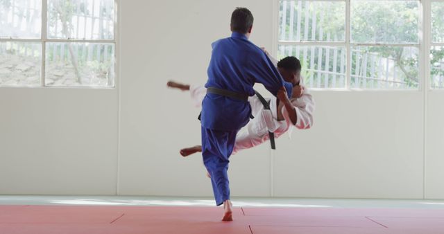 Martial Arts Practitioners Practicing Throw Techniques in Gym - Download Free Stock Images Pikwizard.com