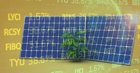Sustainable Energy Investment Concept with Solar Panels and Plant - Download Free Stock Images Pikwizard.com