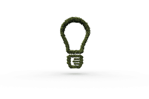 Transparent Light Bulb Made of Leaves Emphasizing Eco-Friendly Ideas