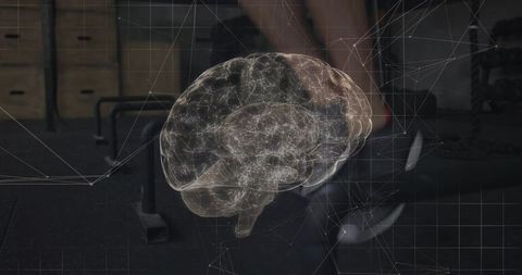 Glowing 3d brain hologram over gym scene with seated athlete and neural network overlay