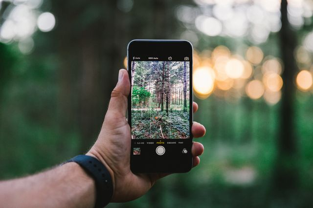 Hand holding smartphone capturing vibrant green forest scene, perfect for tech, outdoor activity, and nature photography themes. Useful for advertising mobile technology, environmental awareness, and travel blogs.