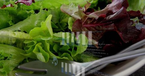 Glistening red green lettuce closeup with water droplets, fork on white plate data overlay