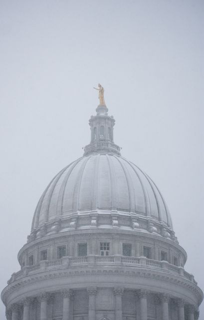 The dome of a government building is seen covered in snow against an overcast gray sky. The winter scene creates a serene and slightly melancholic atmosphere, capturing the essence of a cold urban landmark in freezing conditions. Ideal for articles discussing winter weather impacts on infrastructure, travel guides highlighting historical government buildings, studies in architecture, or symbolism in snowy cityscapes.