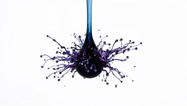 Glossy dark blue-purple droplet creating explosive crown of tendrils and beaded splash