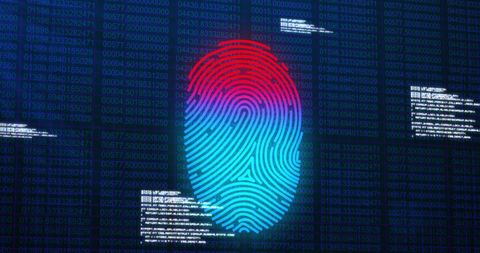 Biometric Security with Fingerprint and Digital Data - Download Free Stock Images Pikwizard.com