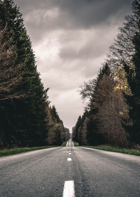Photo of a long, straight road cutting through a dense forest with an overcast sky. Suitable for use in travel brochures, adventure blogs, scenic calendars, and nature-related content promoting road trips and outdoor explorations.
