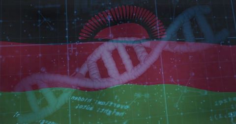 3D DNA Helix Against Malawi Flag and Digital Data Background