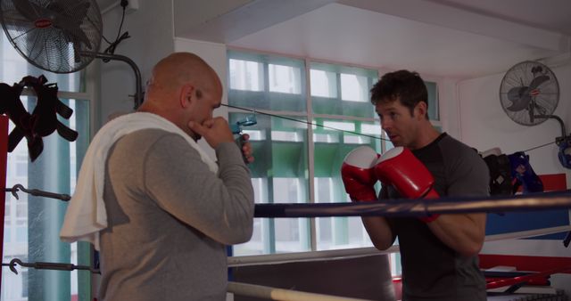 Boxing Trainer Coaching Athlete in Gym during Sparring Session - Download Free Stock Images Pikwizard.com