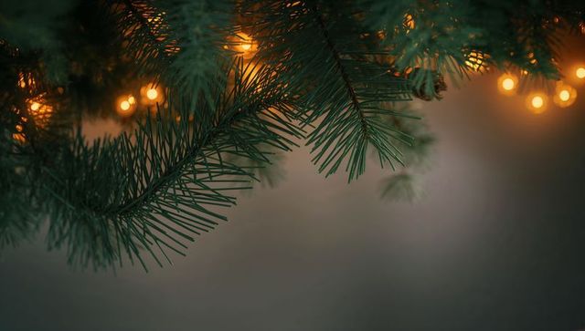Evergreen branch featuring warm bokeh lights creating cozy holiday background with space for text